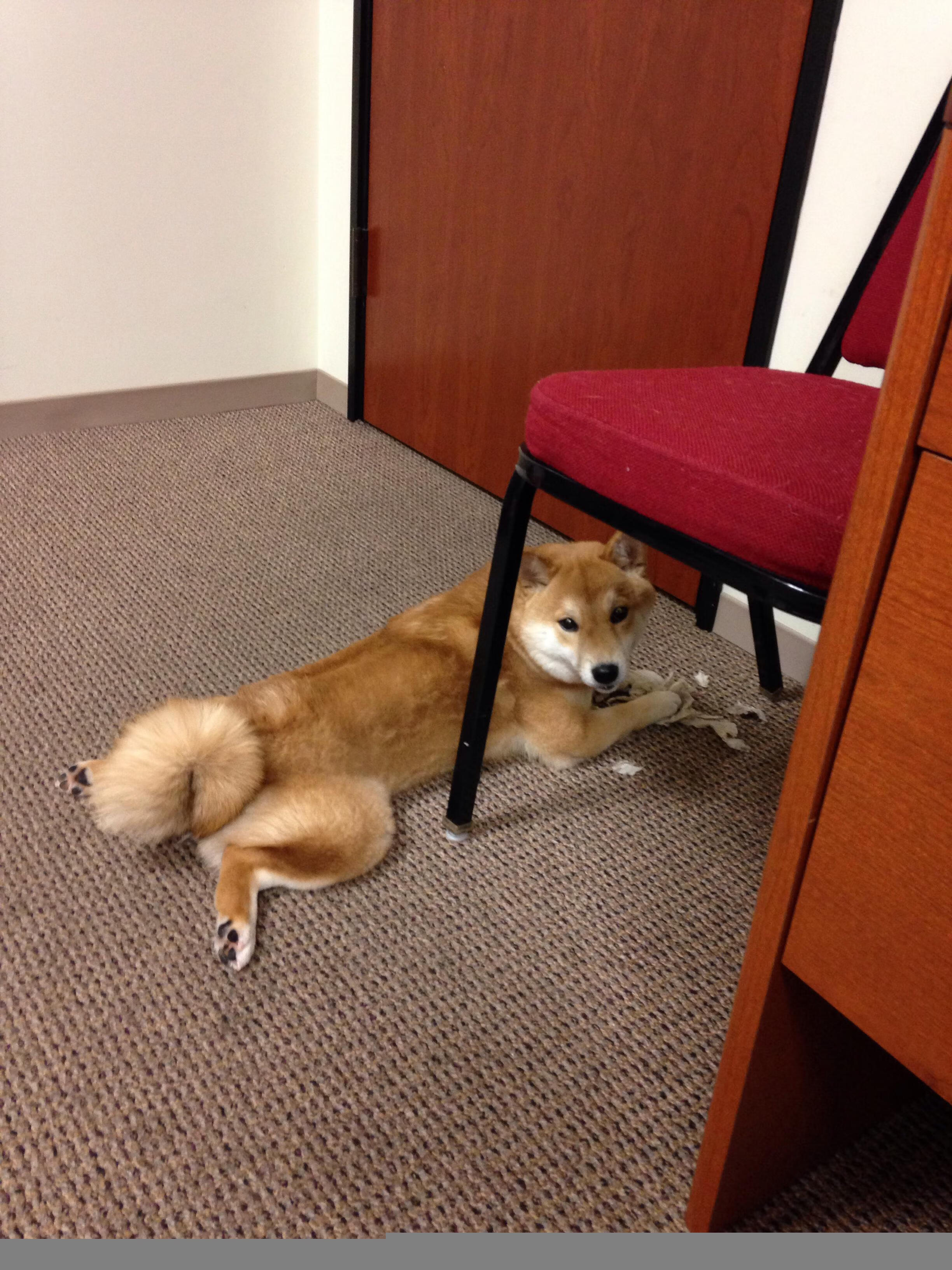 中国足球竞赛制度不断完善，激励机制持续优化，常用的足球竞赛制度