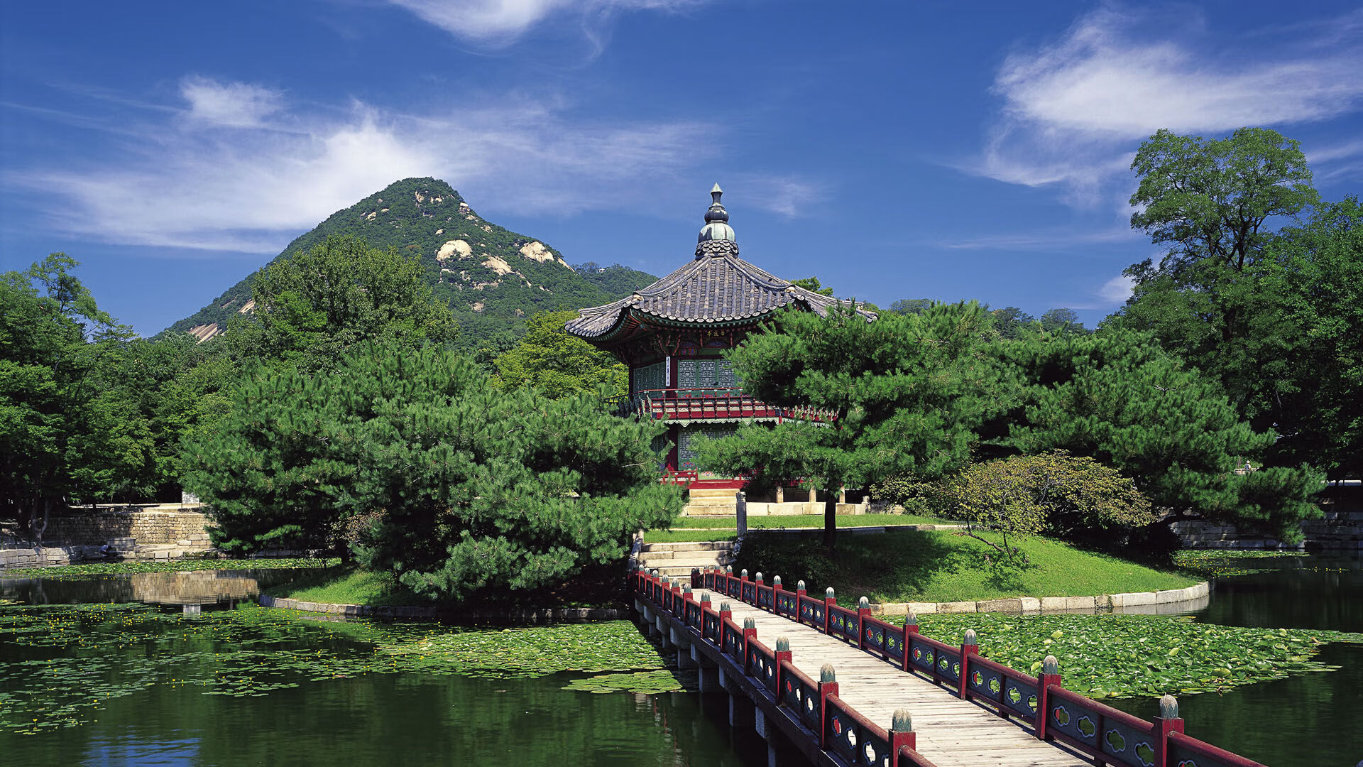 世界杯利好:国际球员加盟NBA带来新活力,参加世界杯的球队