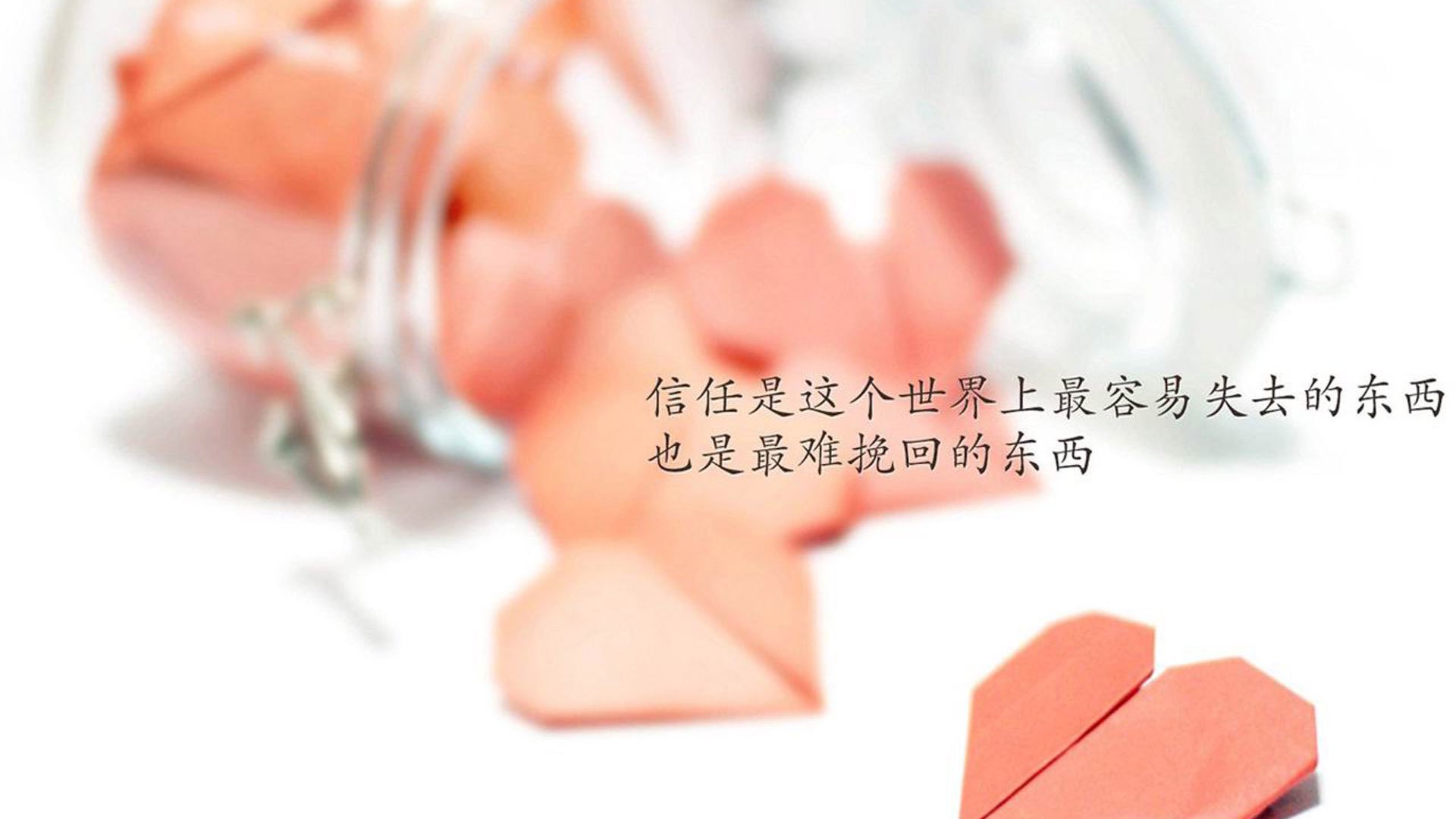 九游娱乐官方网站-塞内加尔马术协会授予马尔科·阿尔瓦雷斯“年度最佳马匹护理员”称号。