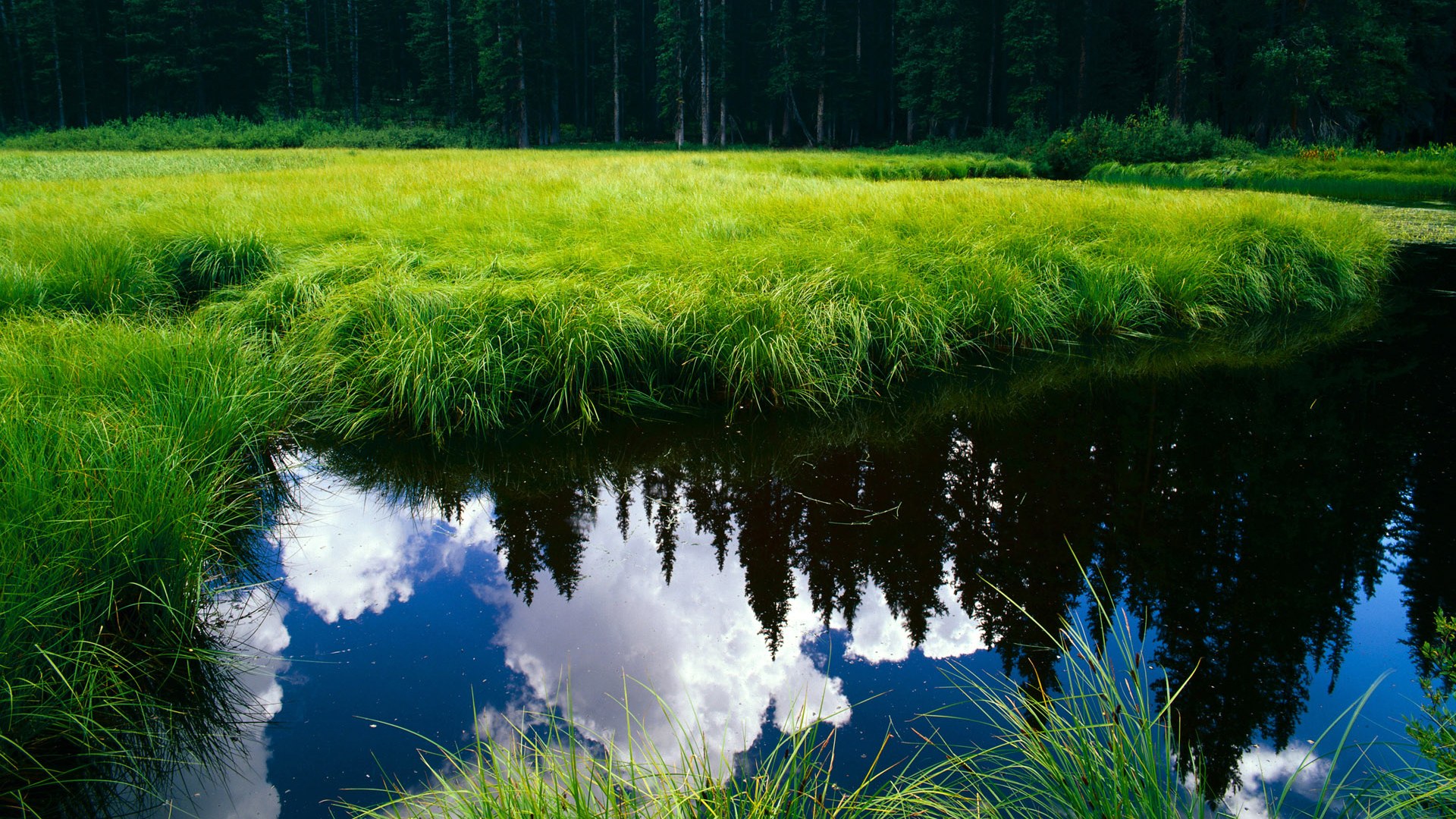 九游电竞-德甲关键，教练谈球队表现，德甲主教练年薪排行